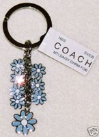 1603_Multi Daisy.JPG