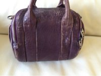Aubergine_Wang_4_10.jpg