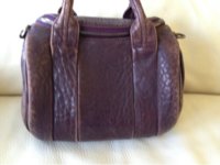 Aubergine_WAng_2_!0.jpg