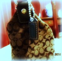 Coach brown wristlet 1b.jpg