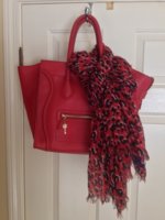 Celine and LV scarf.jpg