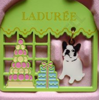 ladureedogwindow.png
