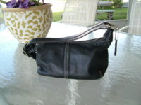 DSCF2012.JPG
