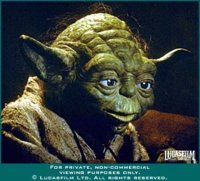 yoda2.jpg