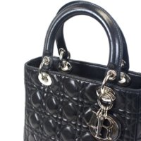 Dior- handle.jpg