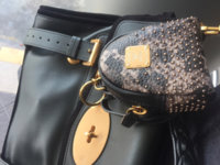 ImageUploadedByPurseForum1437801614.228894.jpg
