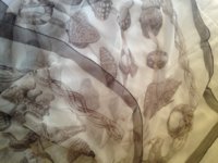 IMG_7698.jpeg