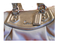 GoldsilverCoach#8.png