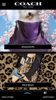 ImageUploadedByPurseForum1438267141.074426.jpg