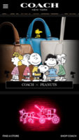 ImageUploadedByPurseForum1438267162.883870.jpg