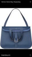 ImageUploadedByPurseForum1438273197.966821.jpg