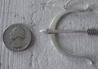 coin scale earring.jpg