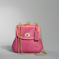 13765 Bonnie  leather small  frame bag.jpg
