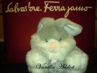 bunny.jpg