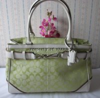 ignature706CarryallBusiGRWH1.jpg