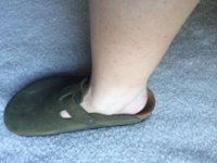 image.jpg