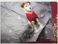 Coach JRT grey snowflake scarf.png
