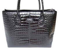 tods croc.jpg