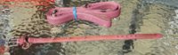 collar and leash 2.jpg
