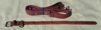 collar and leash 1.jpg