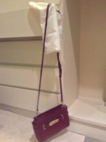 ImageUploadedByPurseForum1441162103.105821.jpg