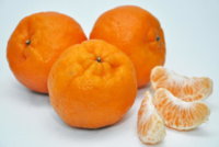 mandarin fruit.jpg