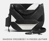 bag 2.PNG