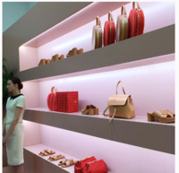 MG Purses and Shoes.PNG