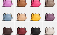 Saddlebags#1.PNG