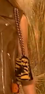 Animal Print wchain.PNG