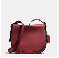 Saddle Bag Ordered.PNG