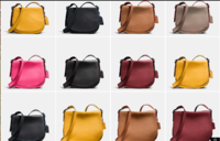 Saddlebags#2.PNG