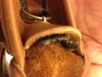 coach 6.jpg