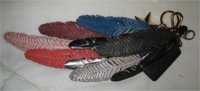 wing-of-feathers.jpg
