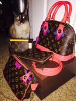 ImageUploadedByPurseForum1443477905.684027.jpg