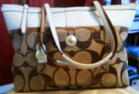 Coach Jaquard signature Bag.jpg