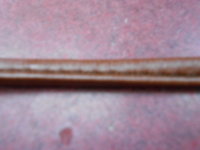 DSCN4499.JPG