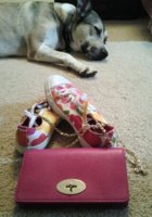 Dog approved pink-fest.jpg