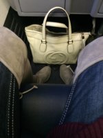 ImageUploadedByPurseForum1444476515.577410.jpg
