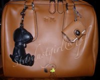 snoopysatchel.jpg