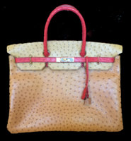 Ostrich Birkin.jpg