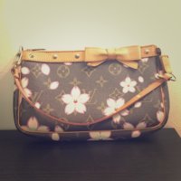 Bag.jpg