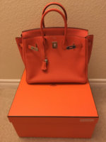ImageUploadedByPurseForum1445130662.544589.jpg