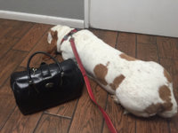 ImageUploadedByPurseForum1445190552.454782.jpg
