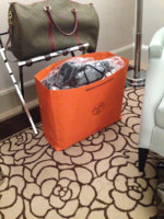 ImageUploadedByPurseForum1445209090.893296.jpg