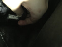 ImageUploadedByPurseForum1445332390.843969.jpg