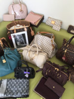 ImageUploadedByPurseForum1445344730.184529.jpg