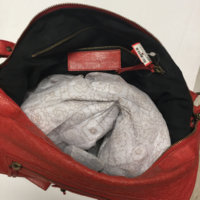 ImageUploadedByPurseForum1445386107.390659.jpg