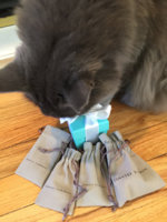 ImageUploadedByPurseForum1445621641.857852.jpg