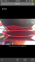 ImageUploadedByPurseForum1445709419.552613.jpg